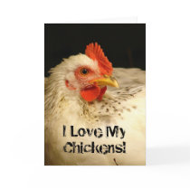 I Love My Chickens! cards