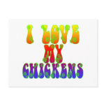 I Love My Chickens Postcard