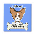 I Love My Chihuahua magnets