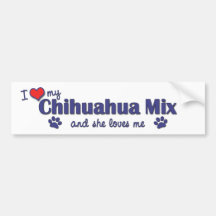 I Love My Chihuahua Mix (Female Dog) Bumper Stickers
