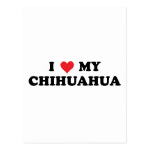 I Love My Chihuahua Post Card