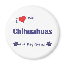 I Love My Chihuahuas (Multiple Dogs) magnets