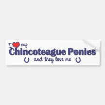 I Love My Chincoteague Ponies (Multiple Ponies) Bumper Stickers