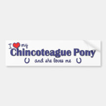I Love My Chincoteague Pony (Female Pony) Bumper Stickers