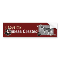I love my Chinese Crested Bumper Sticker bumper stickers