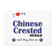 I Love My Chinese Crested Mixes (Multiple Dogs) postcards