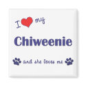 I Love My Chiweenie (Female Dog) magnets by dogadoodle I Love My Chiweenie (Female Dog) magnets