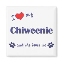 I Love My Chiweenie (Female Dog) magnets