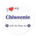 I Love My Chiweenie (Female Dog) stickers by dogadoodle I Love My Chiweenie (Female Dog) stickers