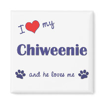 I Love My Chiweenie (Male Dog) Refrigerator Magnets