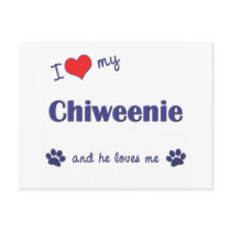I Love My Chiweenie (Male Dog) Post Cards
