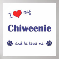 I Love My Chiweenie (Male Dog) Poster Print