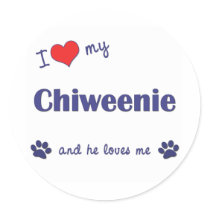 I Love My Chiweenie (Male Dog) Sticker