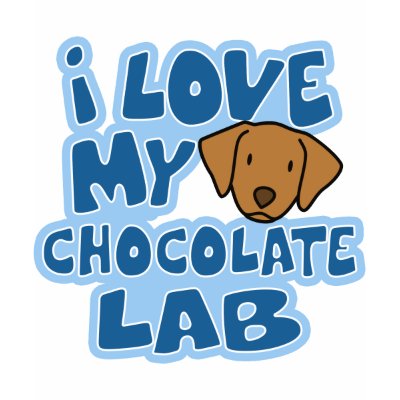 I Love My Chocolate Lab Girl's Ringer TShirt