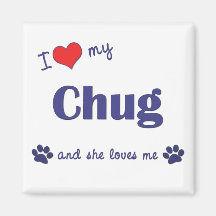 I Love My Chug (Female Dog) Refrigerator Magnet