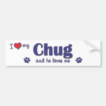 I Love My Chug (Male Dog) Bumper Stickers