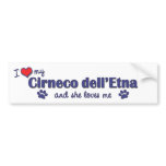 cirneco dell'etna, cirnechi