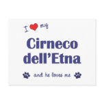 I Love My Cirneco dell'Etna (Male Dog) Post Cards