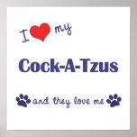 I Love My Cock-A-Tzus (Multiple Dogs) Print