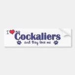 I Love My Cockaliers (Multiple Dogs) Bumper Sticker