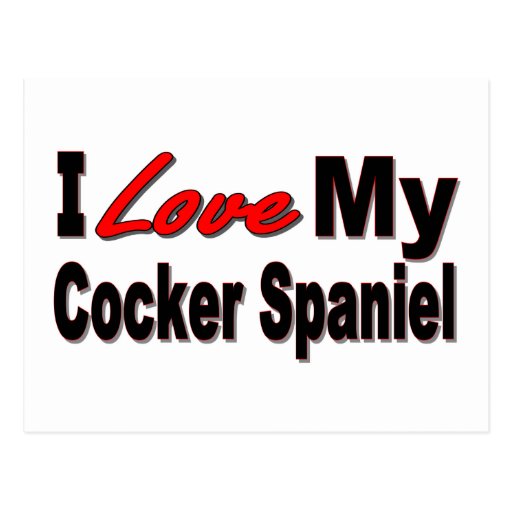 I Love My Cocker Spaniel Gifts and Apparel Postcards