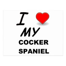 i love my cocker spaniel post card
