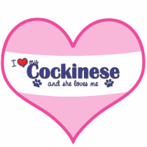 I Love My Cockinese (Female Dog) photo sculptures