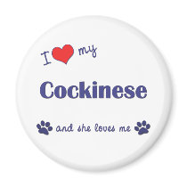 I Love My Cockinese (Female Dog) magnets