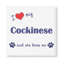 I Love My Cockinese (Female Dog) magnets