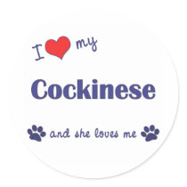 I Love My Cockinese (Female Dog) stickers