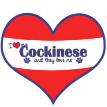 I Love My Cockinese (Multiple Dogs) photo sculptures
