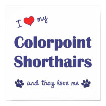 I Love My Colorpoint Shorthairs (Multiple Cats) posters by customcatgifts I Love My Colorpoint Shorthairs (Multiple Cats) posters