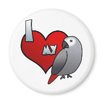 I Love my Congo African Grey Magnet