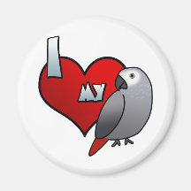 I Love my Congo African Grey Magnet