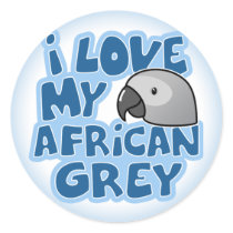 I Love My Congo African Grey Stickers
