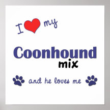 I Love My Coonhound Mix (Male Dog) Poster Print