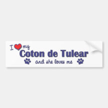 I Love My Coton de Tulear (Female Dog) Bumper Sticker