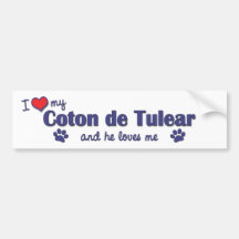 I Love My Coton de Tulear (Male Dog) Bumper Sticker