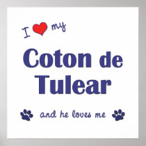 I Love My Coton de Tulear (Male Dog) Print