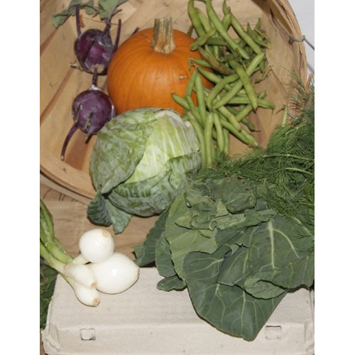 I Love My CSA