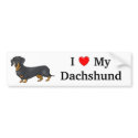 I Love My Dachshund Bumper Sticker bumpersticker