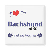 I Love My Dachshund Mix (Female Dog) magnets