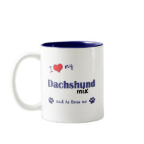 I Love My Dachshund Mix (Male Dog) mugs