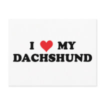 I Love My Dachshund Post Cards