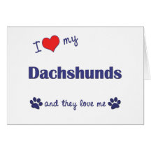 I Love My Dachshunds (Many Dogs) Greeting Cards