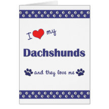 I Love My Dachshunds (Multiple Dogs) Greeting Card
