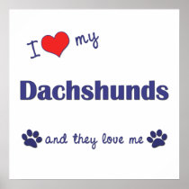 I Love My Dachshunds (Multiple Dogs) Posters