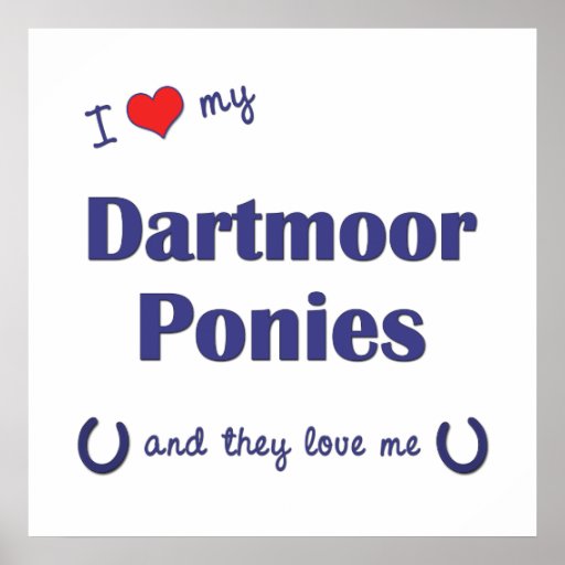 I Love My Dartmoor Ponies (Multiple Ponies) Print