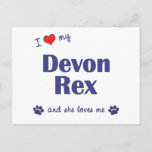 Devon+rex+kittens+for+sale+in+pa