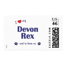 I Love My Devon Rex (Male Cat) Stamps